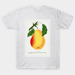 Clapp's Favorite pear lithograph (1900) T-Shirt